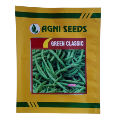 Green classic Beans